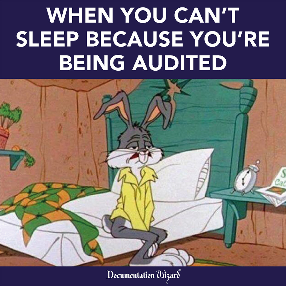 When you can't sleep because you're being audited